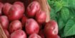 সাধারণ আলুর চেয়ে লাল আলু কতটা উপকারী?