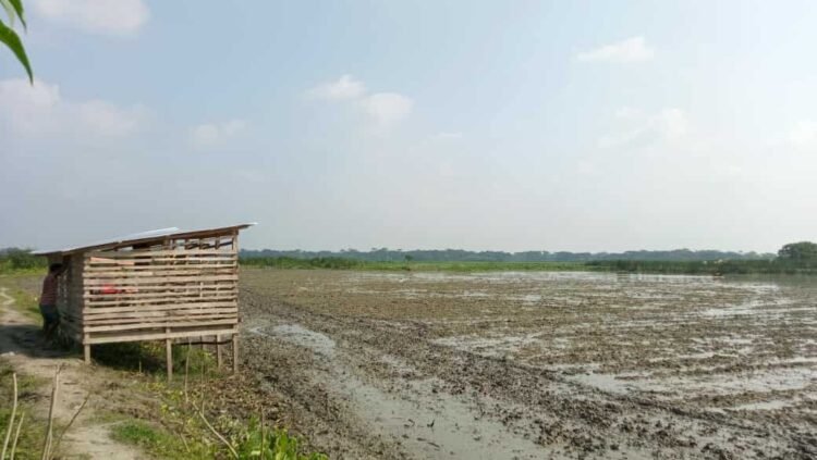 দুমকি উপজেলায় কৃষকদল নেতার চর দখল নিয়ে উত্তেজনা