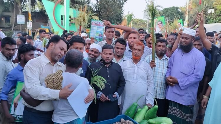 জালিয়াপাড়া বাজারে বিএনপির শোডাউন, সম্প্রীতির বার্তা তুলে ধরলেন নেতারা