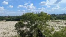 রূপকারের তুলির মায়াবী আঁচড়:  লাল ইটের সাম্রাজ্য ববি ক্যাম্পাসে শরতের শুভ্রতা