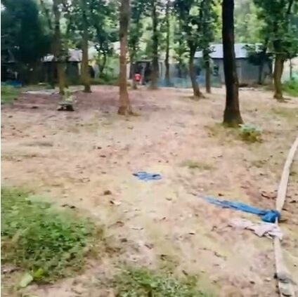 বন ধ্বংস  হচ্ছে,  গাজীপুরে কালিয়াকৈরে মৌচাক  ফরেস্ট