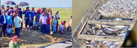 হাকালুকি হাওরে মাছ লুটের বিরুদ্ধে মামলা