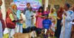 নড়াইলে ভিক্ষুকদের মাঝে  নগদ অর্থসহ সহায়ক উপকরণ বিতরণ করলো সদর উপজেলা প্রশাসন