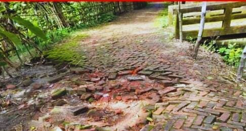 দুমকি উপজেলায়,  এলজিইডির বেহাল সড়কটি : পাকাকরণের দাবি