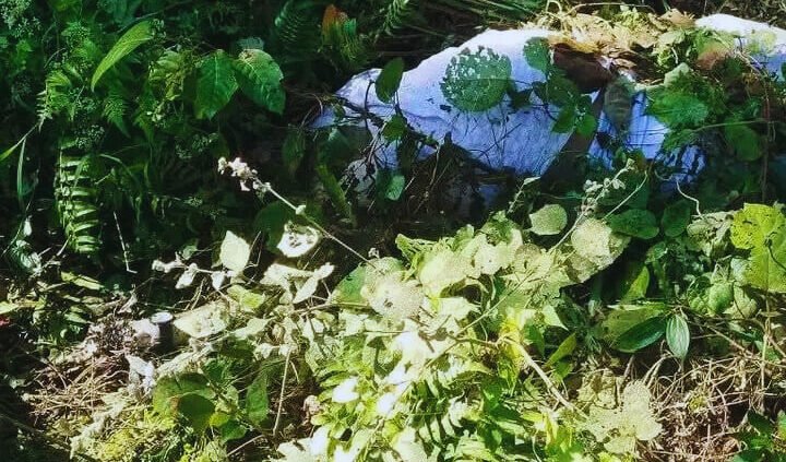 ‎ঝিনাইগাতীতে গজনী রোডে অজ্ঞাত নারীর লাশ উদ্ধার