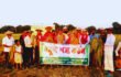 কুষ্টিয়া দৌলতপুরে রোপা আমন ধানের নমুনা শস্য কর্তন উদ্বোধন