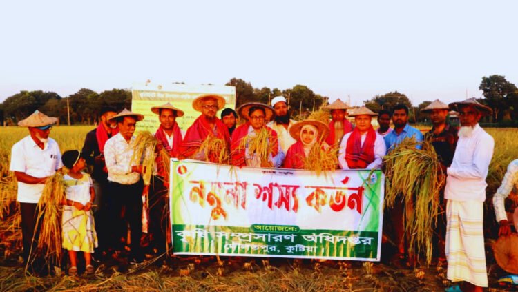 কুষ্টিয়া দৌলতপুরে রোপা আমন ধানের নমুনা শস্য কর্তন উদ্বোধন