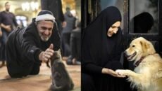 ঘরে কুকুর থাকলে কি আমল নষ্ট হবে?