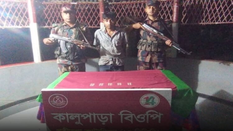 নওগাঁর ধামইরহাট সীমান্তে ৫০ পিচ ট্যাপেন্টাডল ট্যাবলেটসহ রেজুয়ান নামে এক জন চোরাকারবারী  আটক