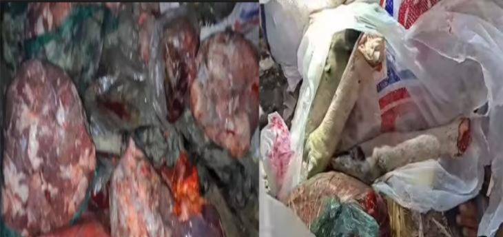 শরণখোলায় জলাতঙ্কে আক্রান্ত গরু জবাই করে বাজারে বিক্রি