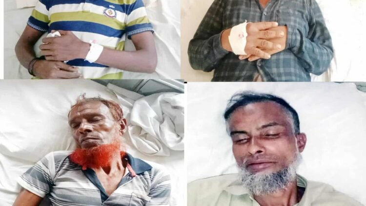 তজুমদ্দিনে গরু লাল শাক খাওয়াকে কেন্দ্র করে হামলা আহত-৭