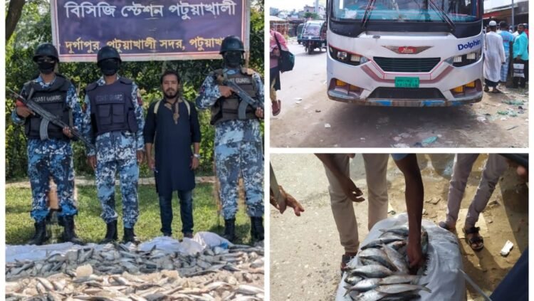 টোলপ্লাজায় কোস্টগার্ডের অভিযানে জাটকা জব্দ
