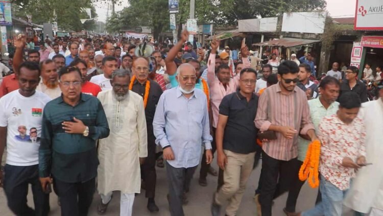 দেশের স্থিতিশীলতা ও উন্নয়নে ধানের শীষে ভোট দিন : বাচ্চু মোল্লা