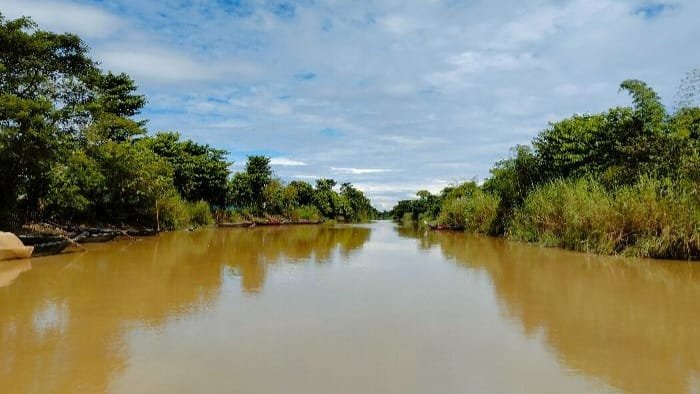 মৌলভীবাজারে হাকালুকিসহ জীববৈচিত্র্য হুমকির মুখে