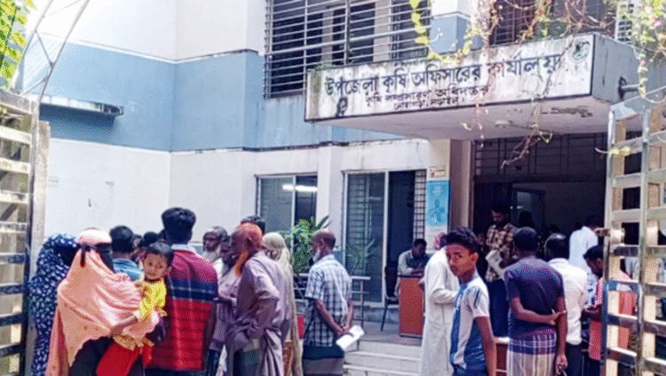 লোহাগড়ায় ৭ হাজার ৬০ কৃষকের প্রণোদনার সার-বীজ যাচ্ছে কোথায়