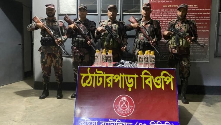 দৌলতপুর সীমান্তে বিজিবির অভিযানে লক্ষাধিক টাকার মাদক ও নকল সিগারেট জব্দ