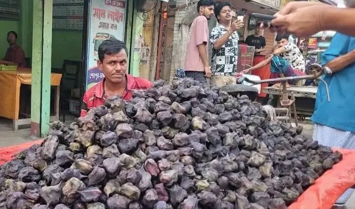 শেরপুরে পানিফল চাষে বাড়ছে কৃষকের আগ্রহ