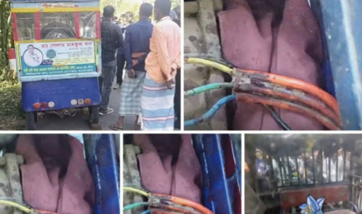 অটোরিকশার মোটরে ওড়না পেঁচিয়ে প্রাণ গেল পোশাকশ্রমিক নাসিমার