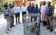 পার্স্ববতীদেশ ভারত থেকে  হিলিতে আসা  মুখপোড়া হনুমানটি এখন  রংপুর চিড়িয়াখানায় স্থানান্তর