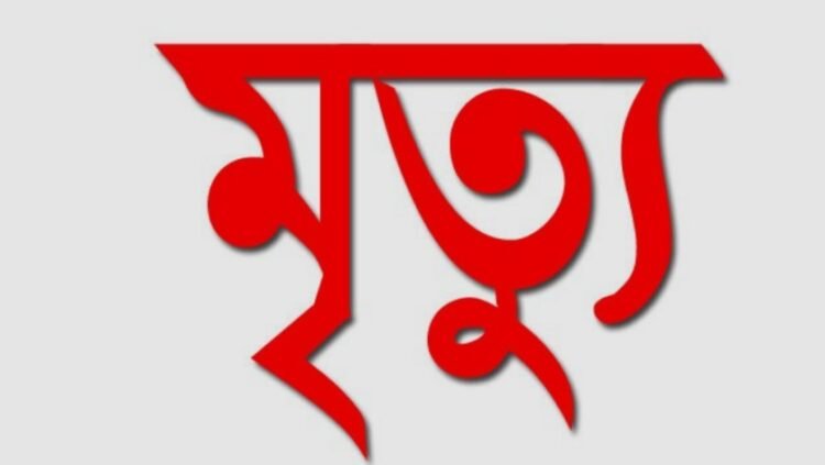 রায়গঞ্জে সড়ক দুর্ঘটনায় গ্রাম্য পশু চিকিৎসকের মর্মান্তিক মৃত্যু