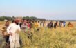 বালিয়াকান্দিতে কৃষকদের সঙ্গে মতবিনিময় করলেন ব্যারিস্টার কাজী রহমান মানিক