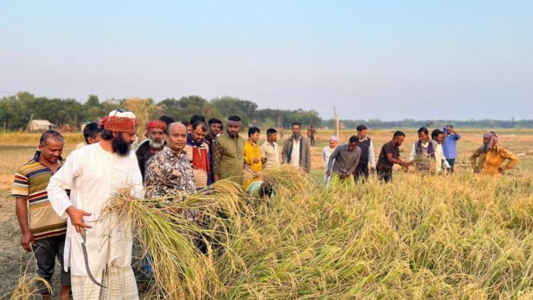 বালিয়াকান্দিতে কৃষকদের সঙ্গে মতবিনিময় করলেন ব্যারিস্টার কাজী রহমান মানিক