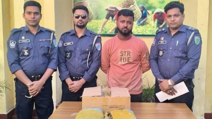 শ্রীমঙ্গলে দেড়কেজি গাঁজাসহ কুখ্যাত মাদক কারবারী পাভেল গ্রেপ্তার