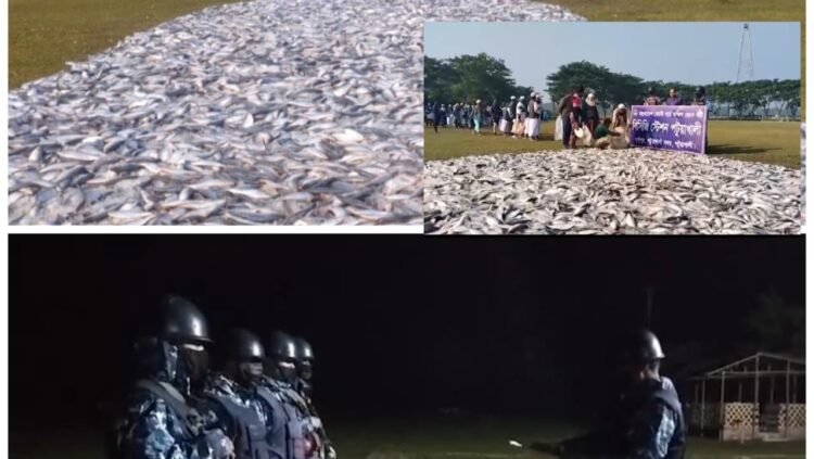 পটুয়াখালীতে ২৮ লক্ষ ৩৫ হাজার টাকা মূল্যের ৪ হাজার ৫০ কেজি জাটকা জব্দ