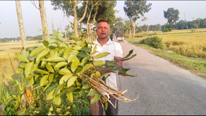 নান্দাইলে পূর্ব শত্রুতার জেরে অসংখ্য গাছ কেটে ফেলেছে মারধর প্রাণ নাশের হুমকি। থানায় অভিযোগ দায়ের