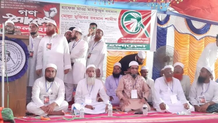 আমি আপনাদের সেবা করতে এসেছি, ক্ষমতায় যেতে নয়- মোল্লা মুজিবুর রহমান শামীম