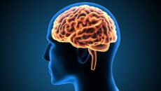 মস্তিষ্কের ক্ষতি কারণ যে তিনটি অভ্যাস