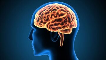 মস্তিষ্কের ক্ষতি কারণ যে তিনটি অভ্যাস