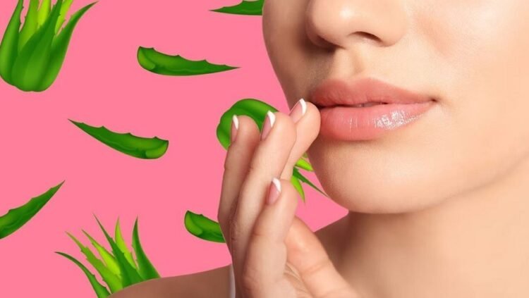 শীতে ঠোঁট ভালো রাখার দারুণ কিছু ঘরোয়া উপায়