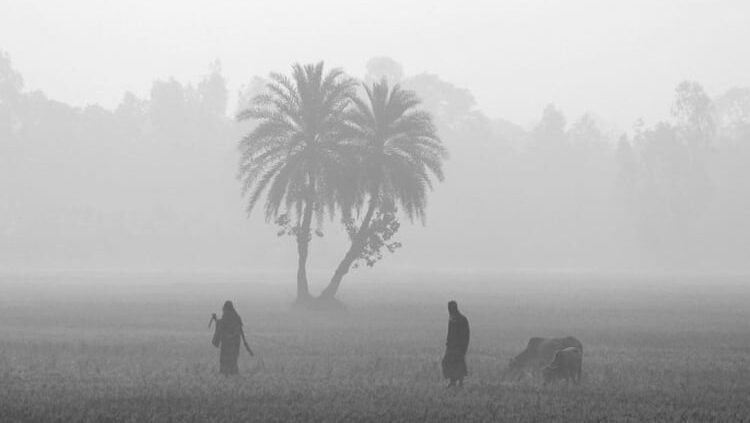 দেশের কিছু স্থানে হালকা থেকে মাঝারি কুয়াশা পড়তে পারে