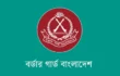 সাতক্ষীরা সীমান্ত থেকে ভারতীয় শাড়ি ও ওষুধ জব্দ