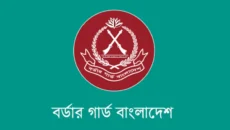 সাতক্ষীরা সীমান্ত থেকে ভারতীয় শাড়ি ও ওষুধ জব্দ