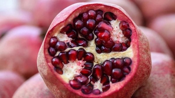 প্রতিদিন বেদানা খেলেই শরীরে ঘটে যে ১০ পরিবর্তন