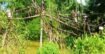 দুমকির মুরাদিয়া, ঝুঁকিপূর্ণ সাঁকো দিয়েই পারাপার হচ্ছে মানুষ