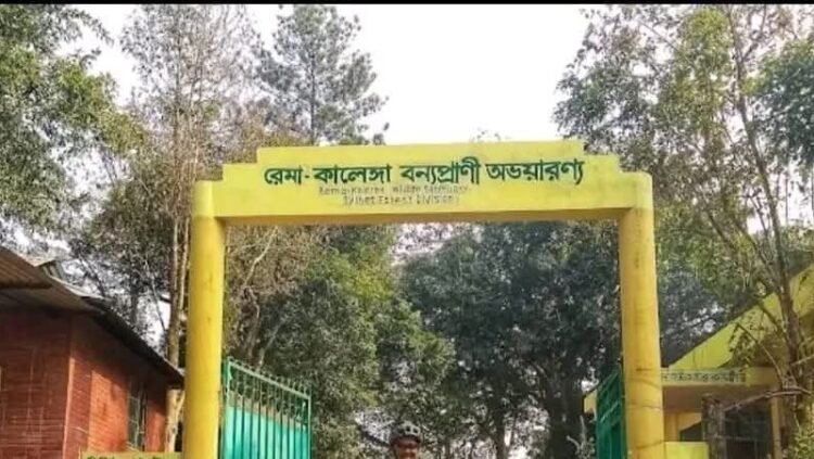 রেমা-কালেঙ্গা বনে গোলাগুলি: ১০ জনের নামে জনের বিরুদ্ধে অস্ত্র মামলা