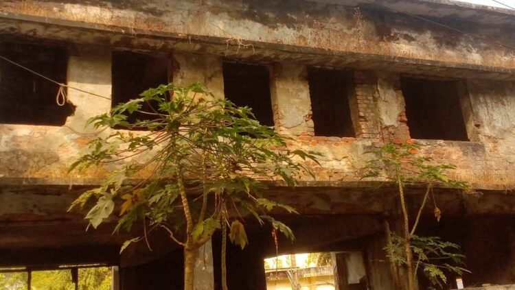 আমতলীতে অর্ধশত বছরের পরিত্যাক্ত আদালত ভবন, ঝুঁকিতে  ২০ হাজার বিচারপ্রার্থী