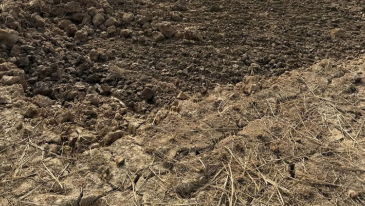 হবিগঞ্জের বাহুবলে কৃষিজমির উর্বর মাটি কাটায় জরিমানা