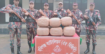 বাল্লা সীমান্ত বাহিনীর অভিযানে বিপুল পরিমাণ গাজা জব্দ