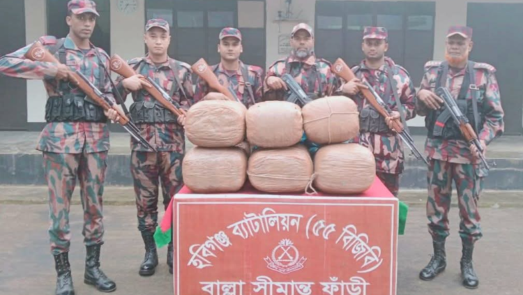 বাল্লা সীমান্ত বাহিনীর অভিযানে বিপুল পরিমাণ গাজা জব্দ