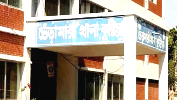 কুষ্টিয়ায় ভেড়ামারায় পিকআপ চাপায় দুই কলেজছাত্র নিহত