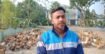 নওগাঁয় হাঁসের খামারে স্বাবলম্বী হতে চায় প্রবাস ফেরত আরিফ 
