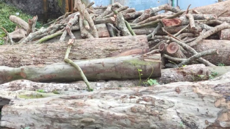 পরিবার পরিকল্পনায় সেবার নামে ঝুলছে তালা,আড়াই লক্ষ টাকারগাছ উদাও