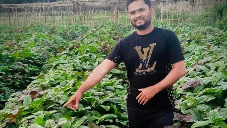 শীতের দাপটে কাঁপছে চায়ের জনপদ শ্রীমঙ্গল