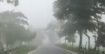 আত্রাইয়ে কুয়াশা ও হিমেল হাওয়ায় তীব্র শীত, দুর্ভোগে খেটে খাওয়া মানুষ