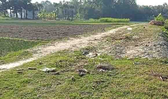 নওগাঁয় গ্রামীণ রাস্তা সংস্কার প্রকল্পে