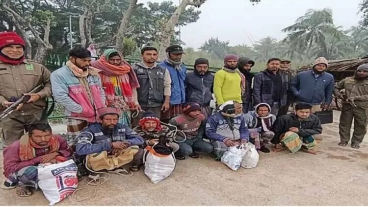 ‎সুন্দরবনের অভয়ারণ্যে মাছ ধরায় ট্রলার ও ডিঙি সহ জেলে আটক মাছ জাল জব্দ